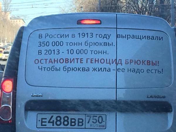 600x450, 48 Kb / брюква, геноцид