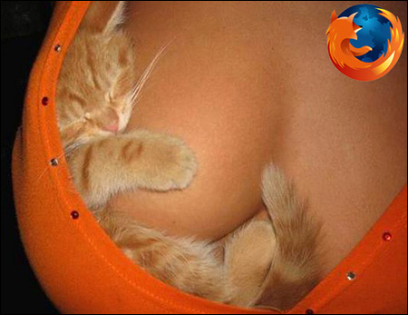 450x347, 72 Kb / firefox, котенок, декольте