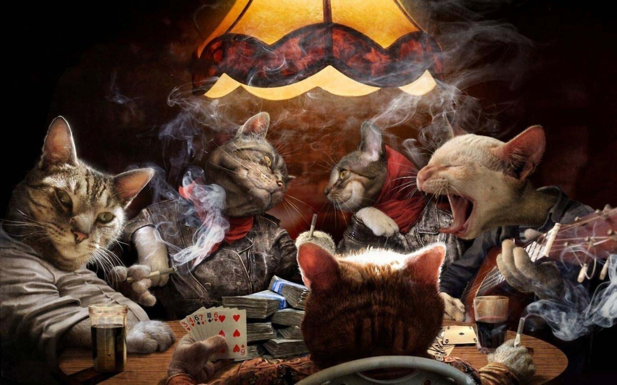 1210x756, 185 Kb / коты, карты, деньги, гитара, дым