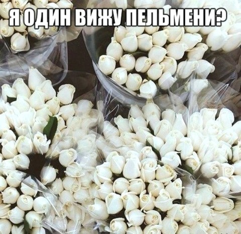 480x466, 83 Kb / пельмени, розы