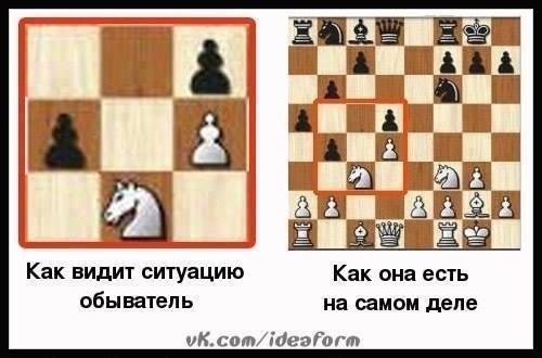 500x330, 27 Kb / политота, шахматы, взгляд, субъективность
