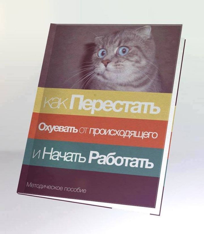 704x807, 72 Kb / книга, работа