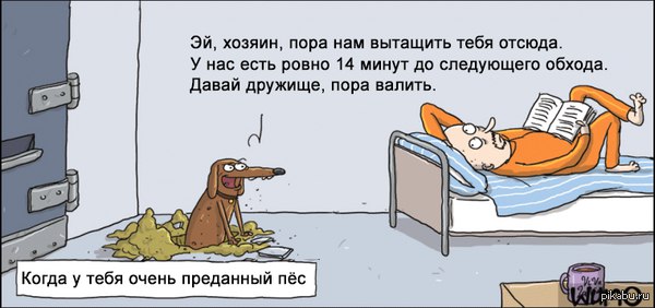 600x282, 43 Kb / такса,тюрьма,побег,пикабу