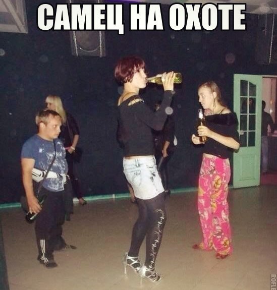 549x575, 57 Kb / Самец, охота