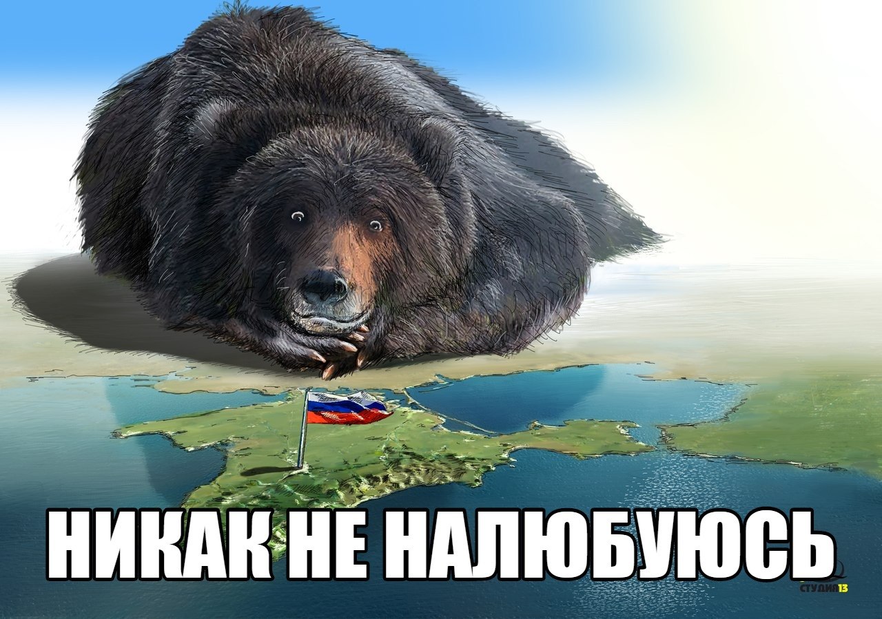 1280x899, 234 Kb / политота, медведь, крым, рисунок, студия 13