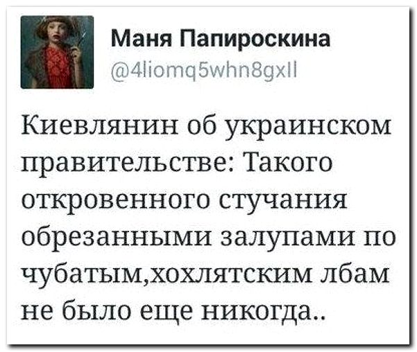 601x508, 67 Kb / Политота, евреи, хохлы, залупа