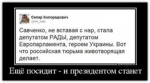 492x273, 28 Kb / Савченко, тюрьма, политота