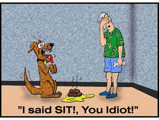 550x413, 82 Kb / собака, дерьмо, сидеть, sit, shit