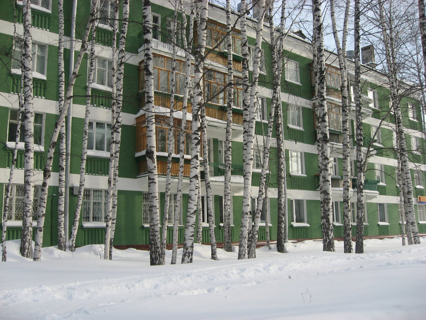 1400x1050, 389 Kb / березы, академгородок, новосибирск