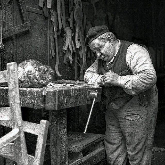 640x640, 100 Kb / кот, верстак, столяр, сон