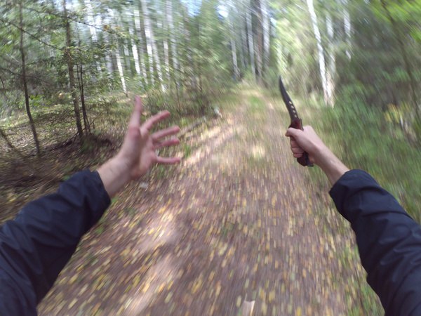 600x450, 68 Kb / грибы, нож