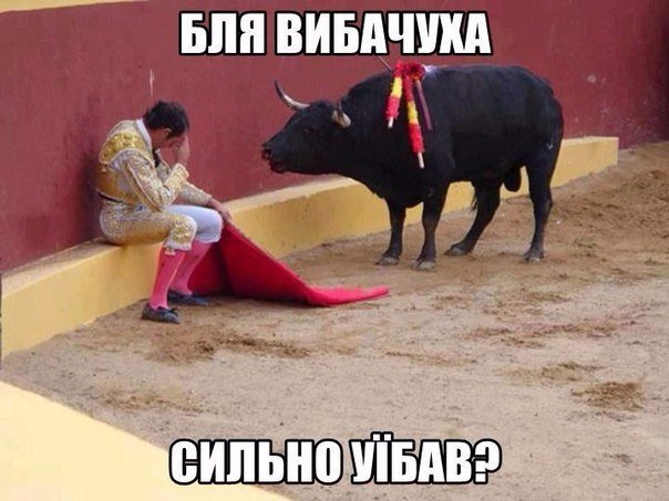 604x453, 54 Kb / бык, тореадор, коррида