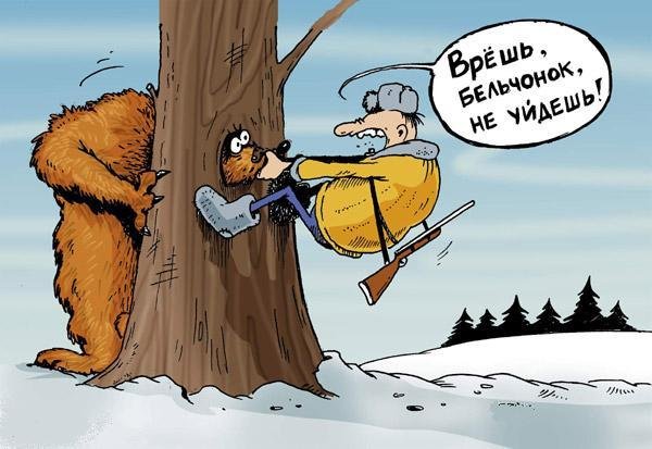 600x413, 47 Kb / бельчонок, белка, медведь, охотник, дупло