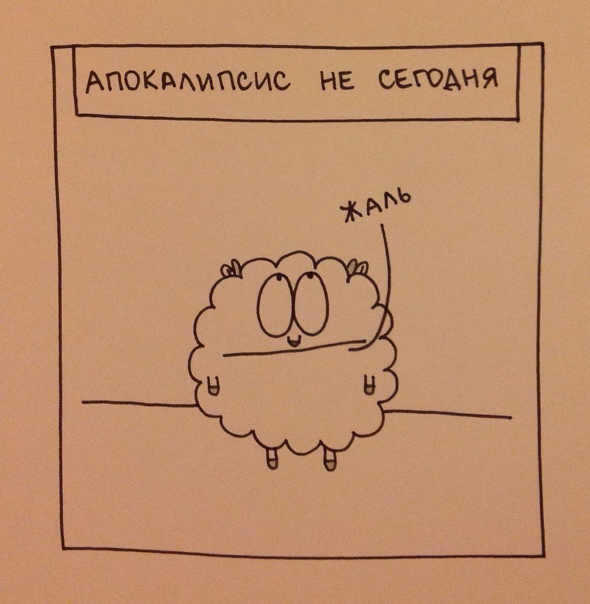 1172x1200, 209 Kb / апокалипсис, жаль, овечка
