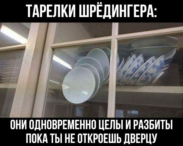 600x479, 53 Kb / шредингер, кот, тарелки