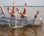 Ноги, вода, матрац