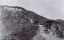 Hollywoodland, Hollywood, трактор, холм, лошади, история, 1920