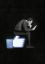 like, facebook