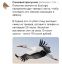 аист,gps, ecologic, птица