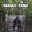 кавказ, пленка, целофан, березы, балончик, граффити, обезьяна, шимпанзе, кавказ, сила