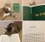 Кот, книга, meow
