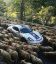 овца, автомобиль, затор, пробка, знак, спорткар, порше, Porsche, Cayman, GT4