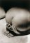 девка, задница, молитва, ч/б, La Priere, Man Ray