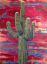 кактус, небо, рисунок, Arizona Sky, Naomi Brown