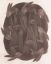 кролики, руки, сено, рисунок, Asumi Hayashi