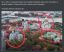 екатеринбург, храм