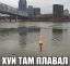 хуй, плавал