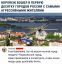 воронеж, агрессия