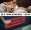 кот, котики, кошка, крадут, наркотики, лох