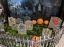 Гугл, проекты, google, Halloween, хеллоуин