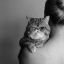 кот, кошка, подмигивает, плечо, родинка, ч/б