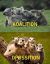 коалиция, оппозиция, коалы, опоссумы