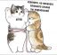 коты, портновский метр, рулетка, пляж, сезон, жир