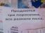 поросята, три, пол, объявление