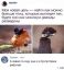птицы, развод, бухгалтерия