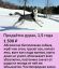 снег, собака, хаски, дурак