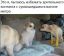 собака, метро, конфликт, контакт, сумасшедший, вагон