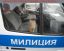 котёнок, милиция