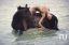 море, вода, голая, лошадь, конь, верхом