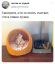 совок, котенок, корзина