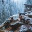 ботинки, вода, камень, снег