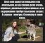 Девушка, кенгуру