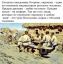 Окрошка, квас, кефир