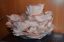 гриб, вешенка розовая, pleurotus djamor