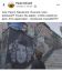 граффити, тетя, Калягин, Бразилия, Здравствуйте, я ваша тетя