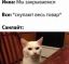 Икея, кот, закрытие